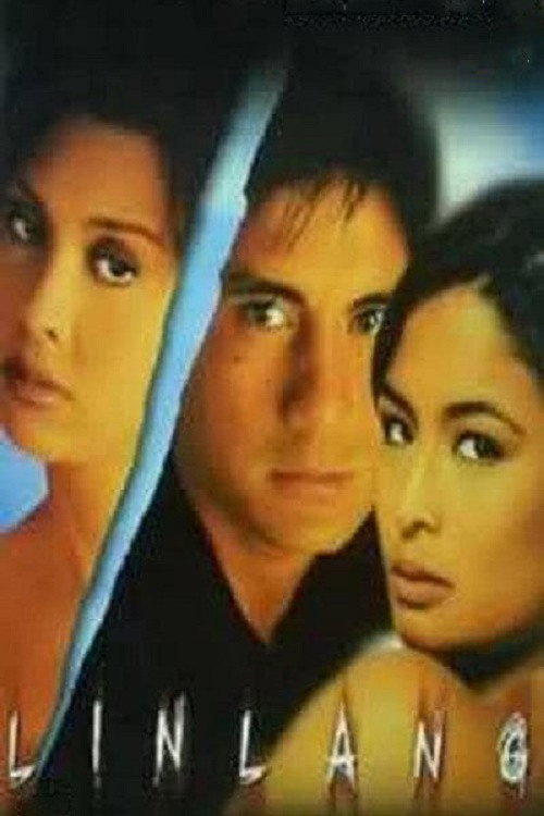 Movie poster for Linlang (1999)
