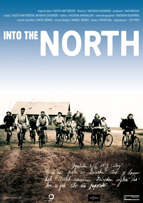 Movie poster for Into the North (2016)