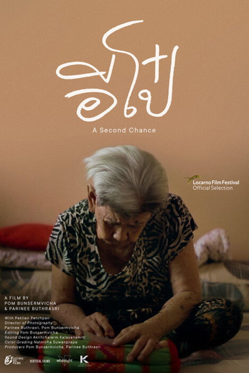 Movie poster for A Second Chance (2018)