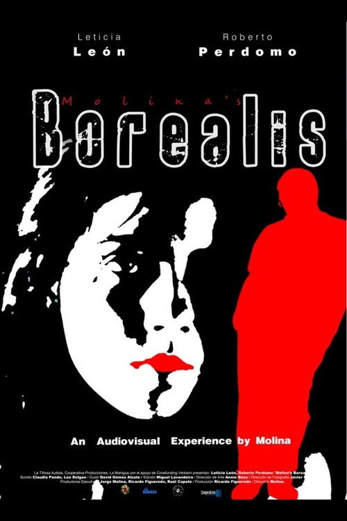 Movie poster for Molina's Borealis (2013)