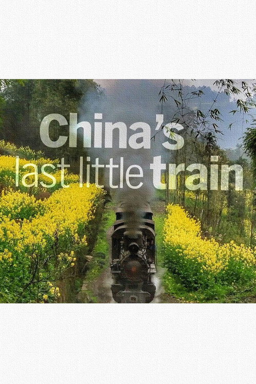 Movie poster for China's Last Little Train (2014)