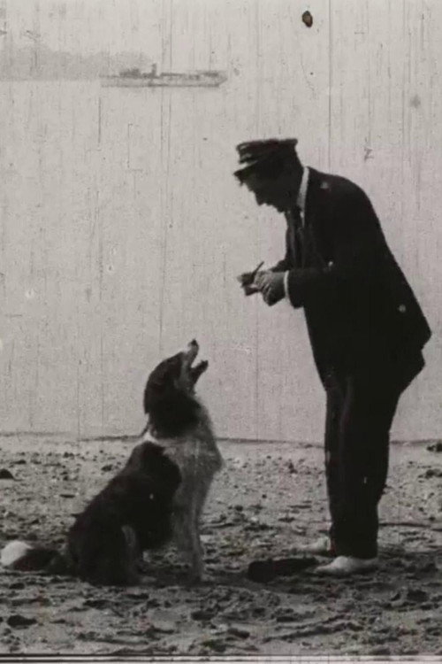 Movie poster for Jean Rescues (1911)