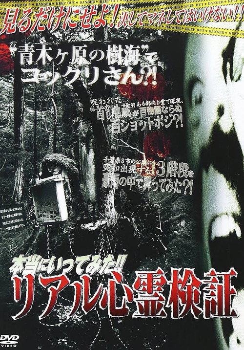 Movie poster for I Really Went There!! Real Supernatural Investigation (2008)