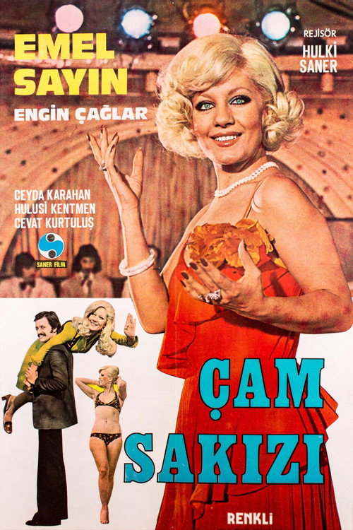 Movie poster for Çam Sakızı (1974)