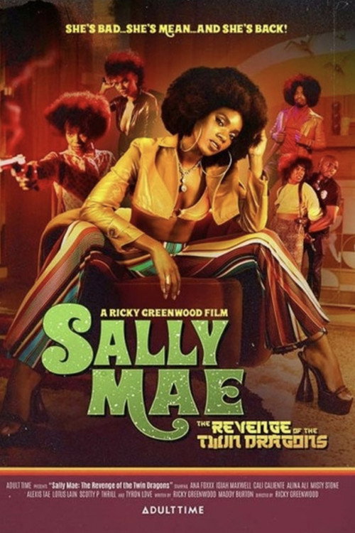 Movie poster for Sally Mae: The Revenge of the Twin Dragons (2022)