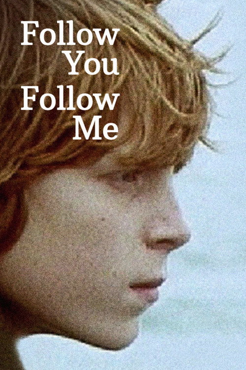Movie poster for Follow You Follow Me (1979)
