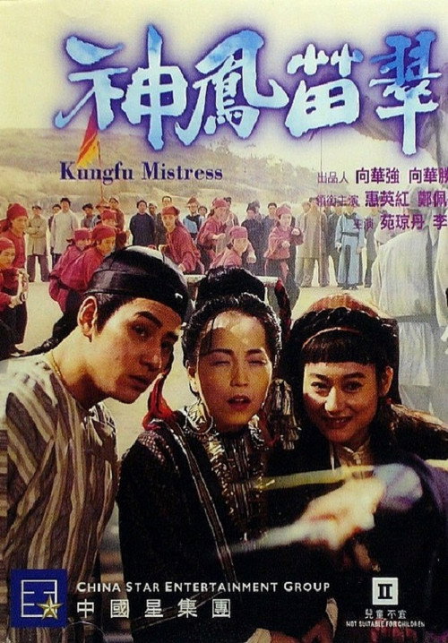 Movie poster for Kung Fu Mistress (1994)