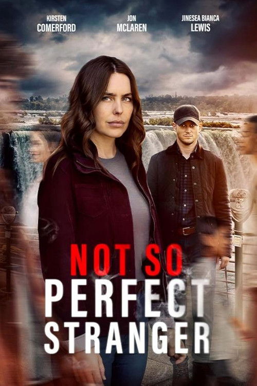 Movie poster for Not So Perfect Stranger (2026)