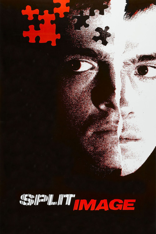 Movie poster for Split Image (1982)