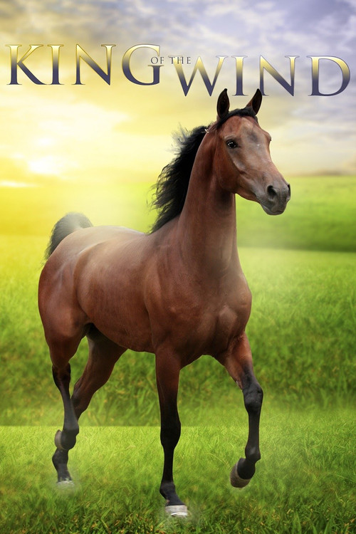 Movie poster for King of the Wind (1990)