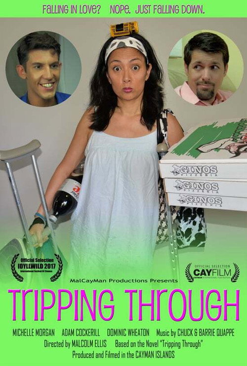 Movie poster for Tripping Through (2016)