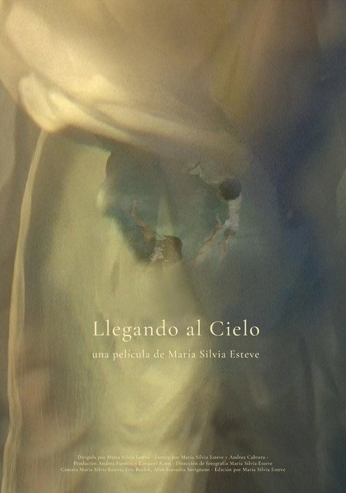 Movie poster for Llegando al cielo (2010)