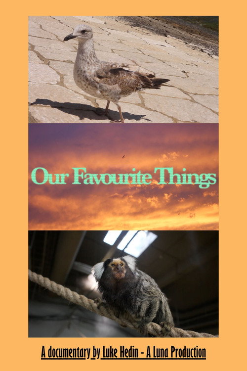 Movie poster for Our Favourite Things (2026)