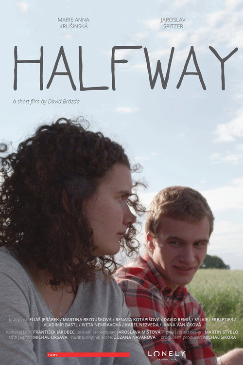 Movie poster for Na půli cesty (2016)