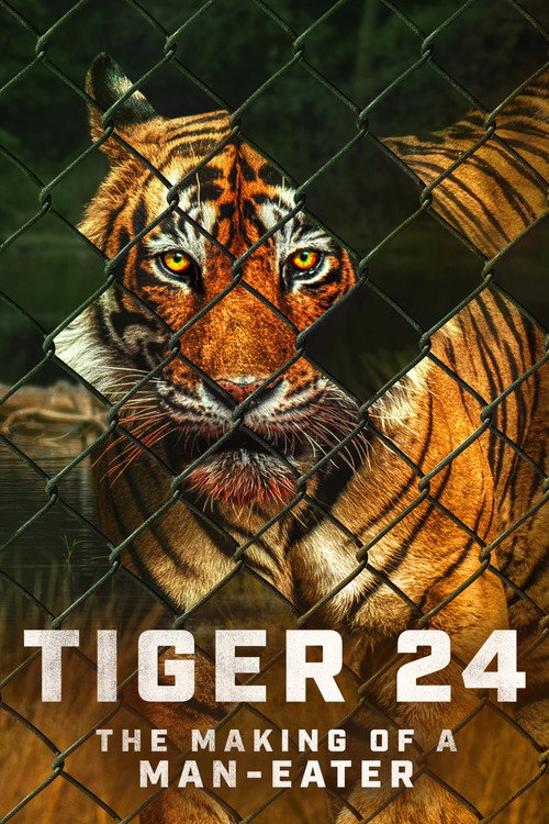 Movie poster for Tiger 24 (2022)