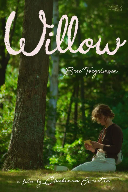 Movie poster for Willow (2026)