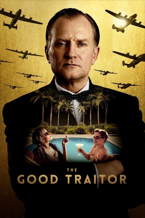 Movie poster for The Good Traitor (2020)