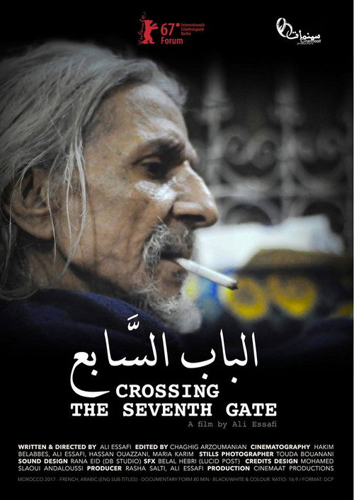 Movie poster for Crossing the Seventh Gate (2017)