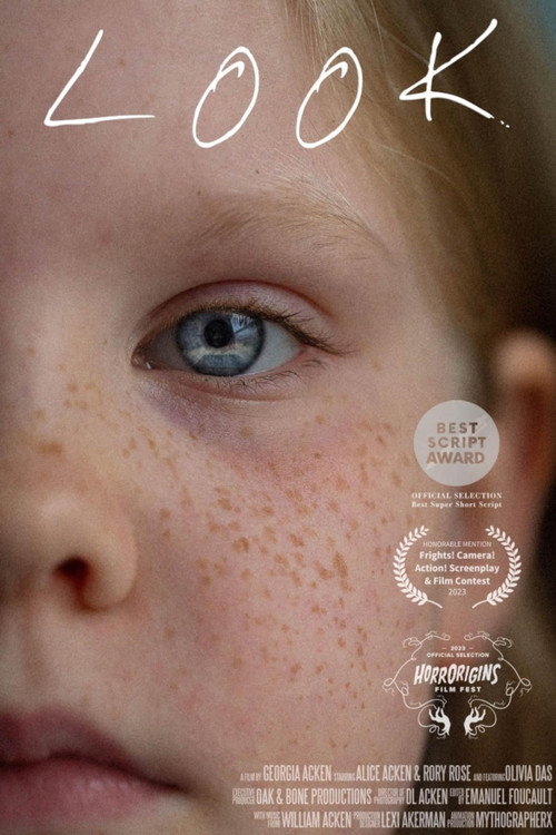 Movie poster for LOOK