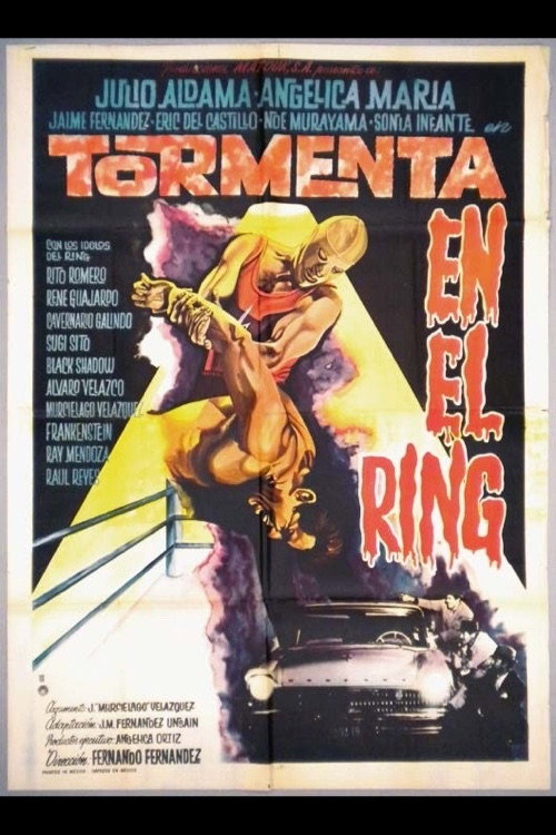Movie poster for Storm in the Ring (1963)