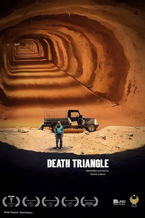 Movie poster for Death Triangle (2012)
