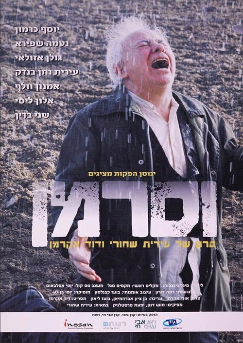 Movie poster for Wasserman: The Rain Man (2005)