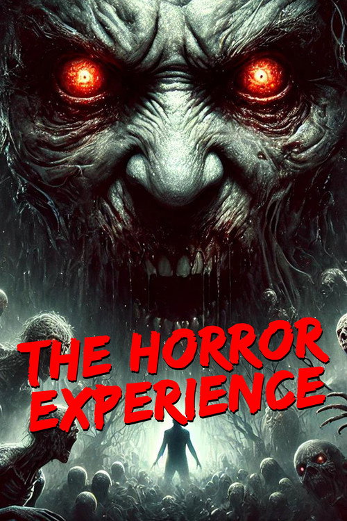 Movie poster for The Horror Experience