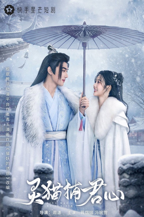 灵猫捕君心 poster