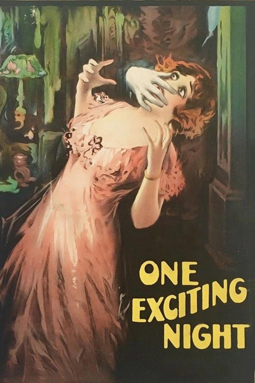 Movie poster for One Exciting Night (1922)
