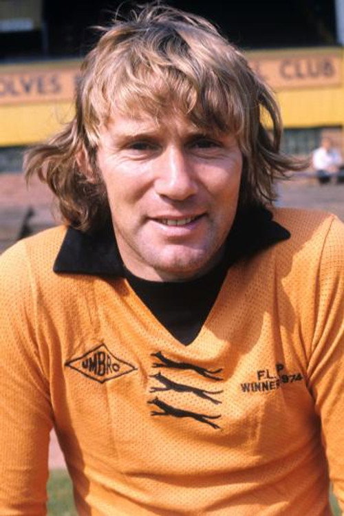Photo of Dave Wagstaffe, Acting