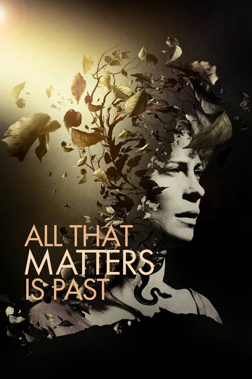 Movie poster for All That Matters Is Past (2012)