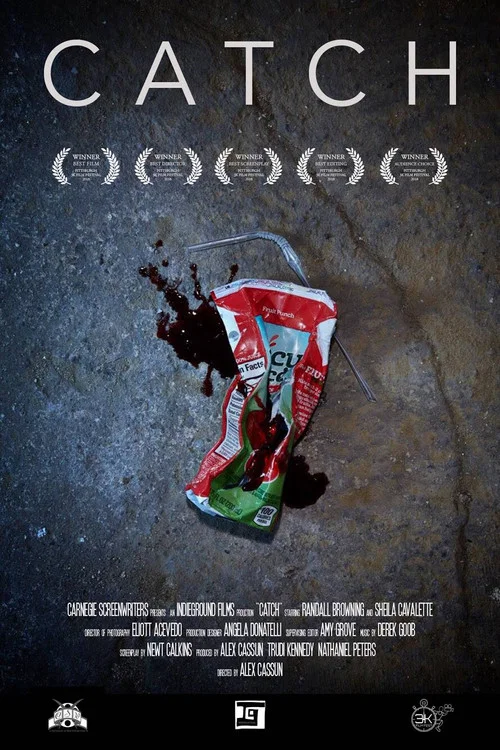 Movie poster for Catch (2018)