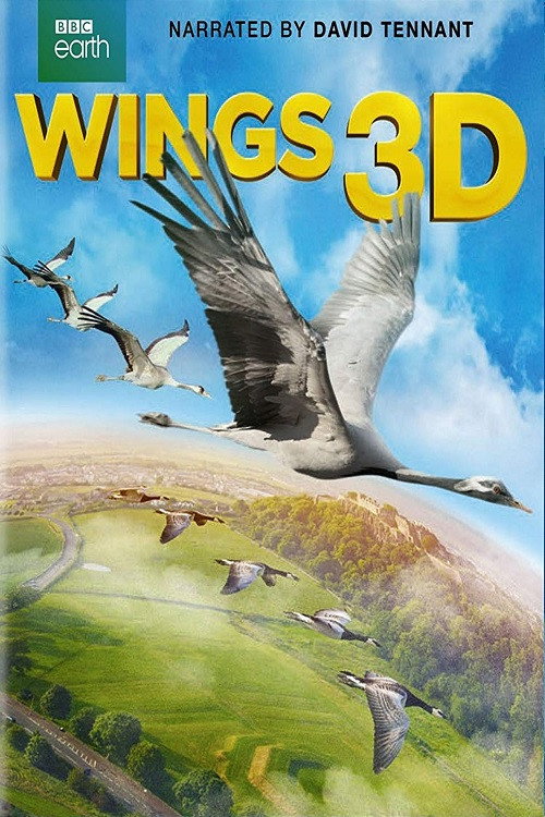 Movie poster for Wings 3D (2014)