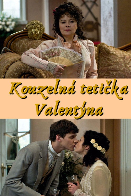 Movie poster for Kouzelná tetička Valentýna (2010)