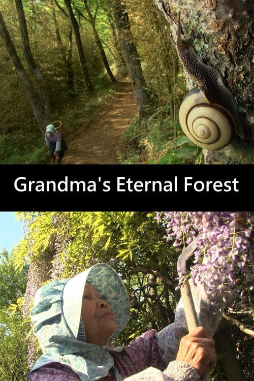 Movie poster for Grandma's Eternal Forest (2013)