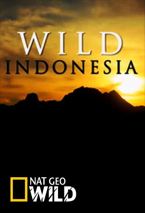 Wild Indonesia poster