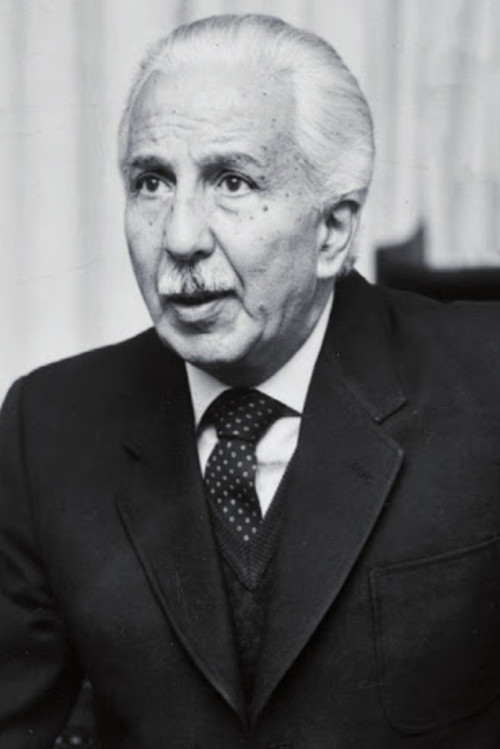 Photo of Nico Pepe, Acting