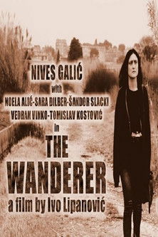 The Wanderer poster