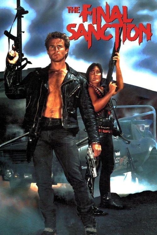 Movie poster for The Final Sanction (1990)