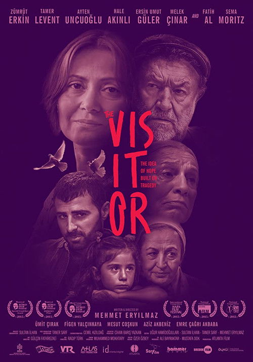 Movie poster for The Visitor (2016)