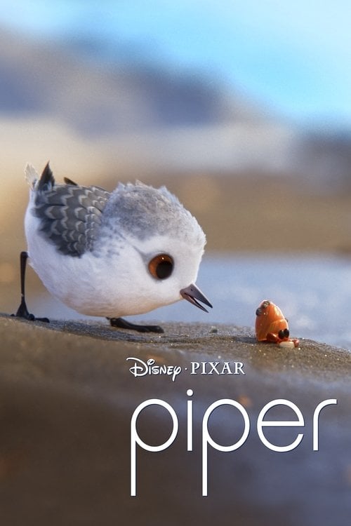 Movie poster for Piper (2016)