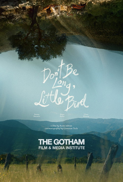 Movie poster for Don't Be Long, Little Bird (2025)