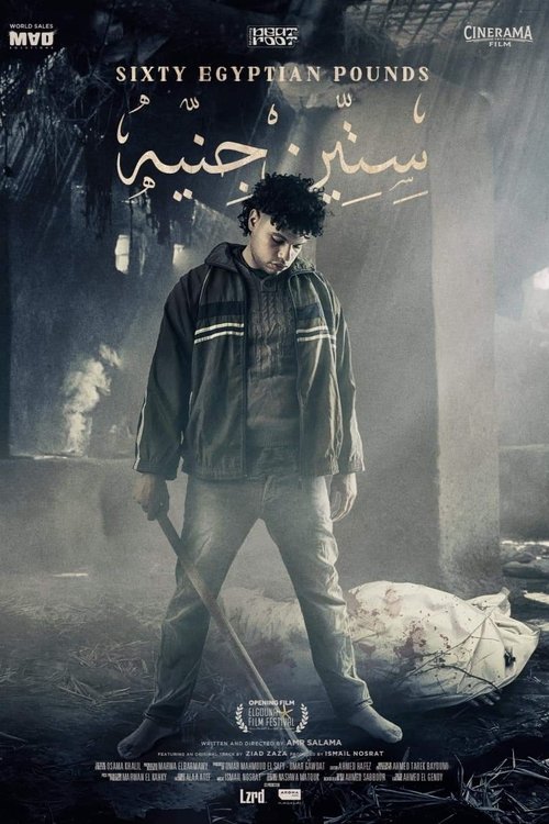 Movie poster for Sixty Egyptian Pounds (2023)