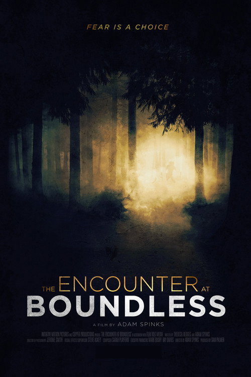 Movie poster for The Encounter at Boundless (2021)