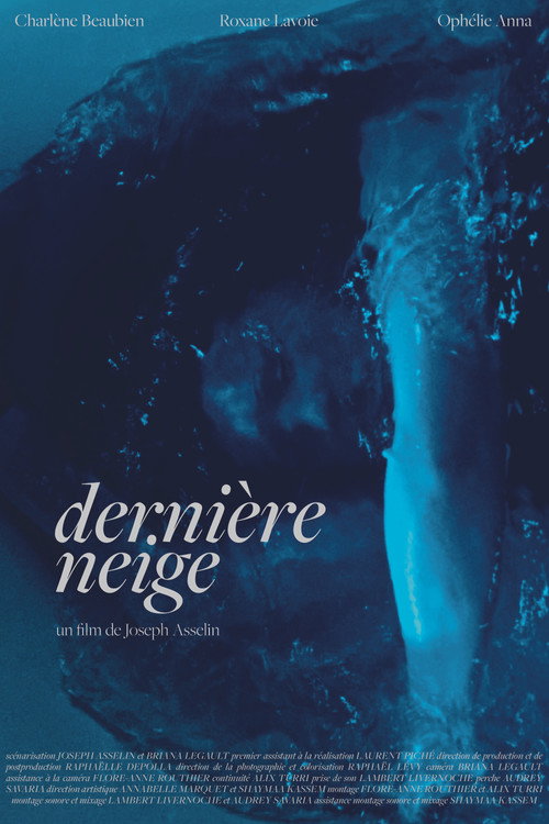 Movie poster for Dernière neige (2025)