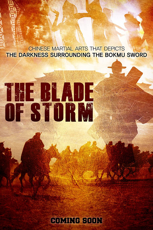 Movie poster for The Blade of Storm (2017)