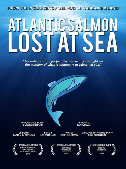 Movie poster for Atlantic Salmon: Lost at Sea (2018)