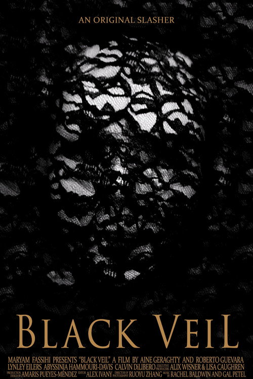 Movie poster for Black Veil (2024)