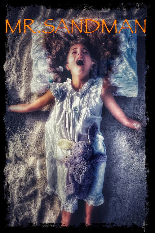 Movie poster for Mr. Sandman (2024)