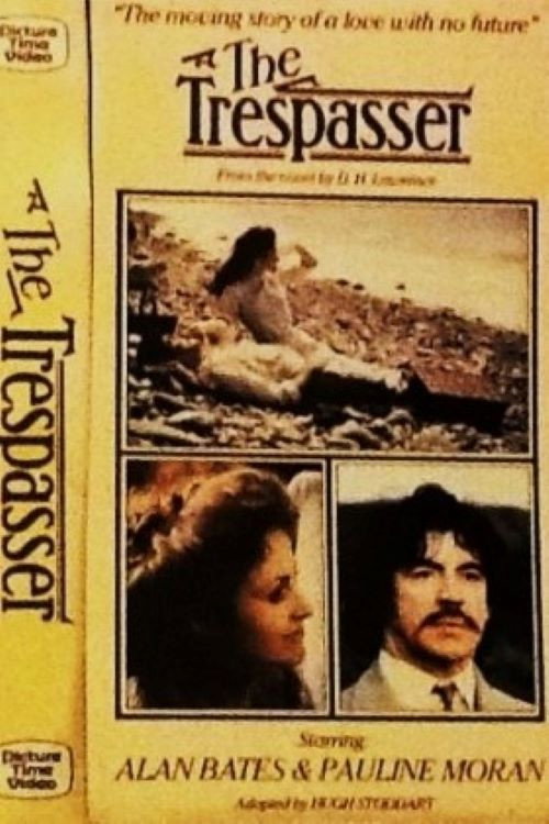 Movie poster for The Trespasser (1981)
